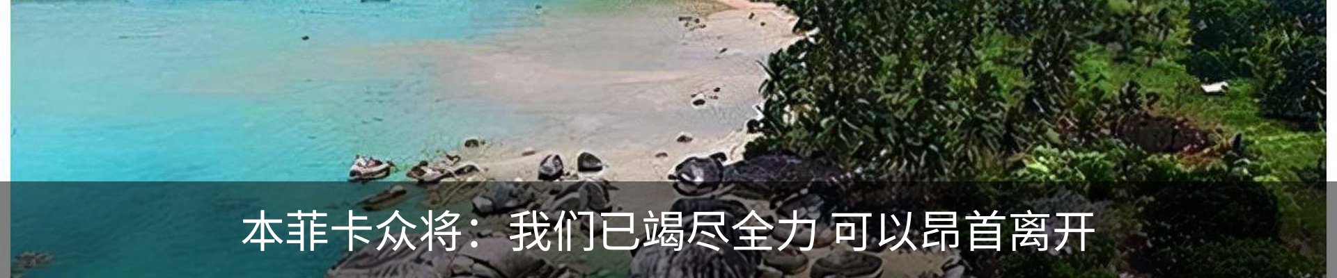 新闻动态