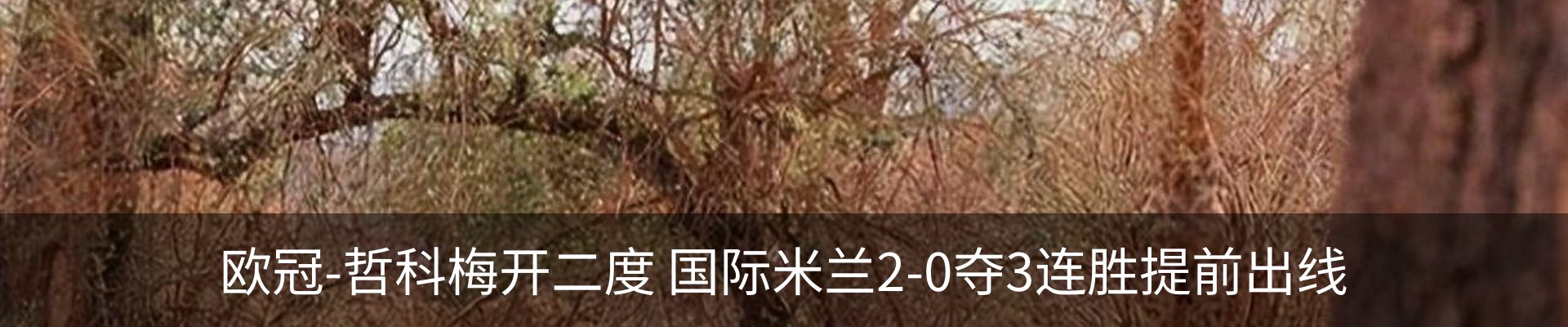 新闻动态